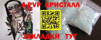 шишки Обь