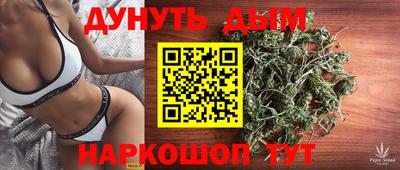 шишки Обь