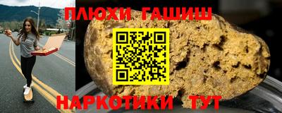 шишки Обь