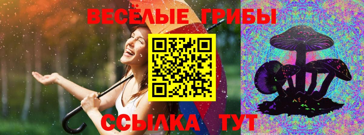 Псилоцибиновые грибы GOLDEN TEACHER  купить закладку  Родники  Вход с VPN 
